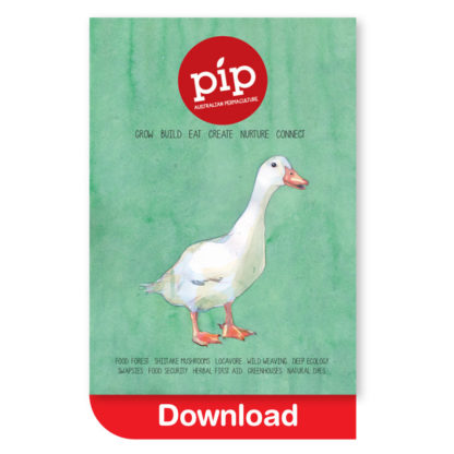 Pip Magazine Issue 1