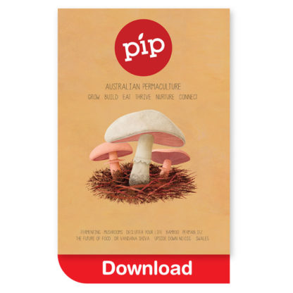 Pip Magazine Issue 3 Download