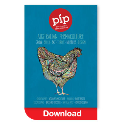 Pip Magazine Issue 7 Download