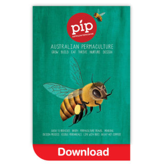 Pip Magazine Issue 4 Download