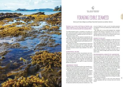 Pip Magazine: Australian Permaculture - Issue: 9