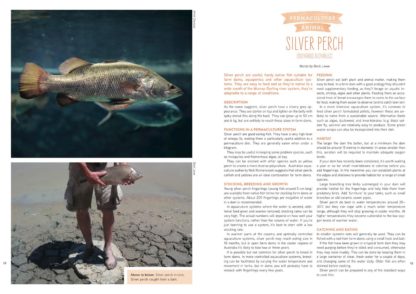 Pip Magazine: Australian Permaculture - Issue: 9